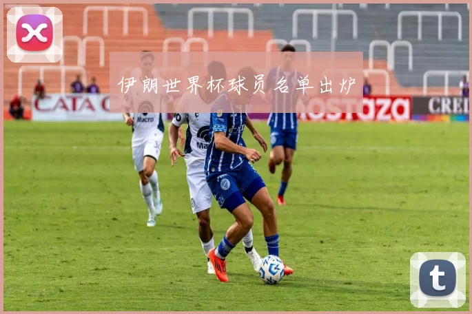 伊朗世界杯球员名单出炉