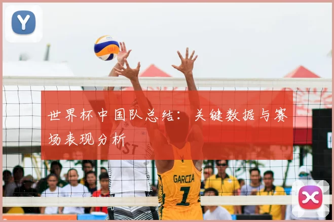 世界杯中国队总结：关键数据与赛场表现分析