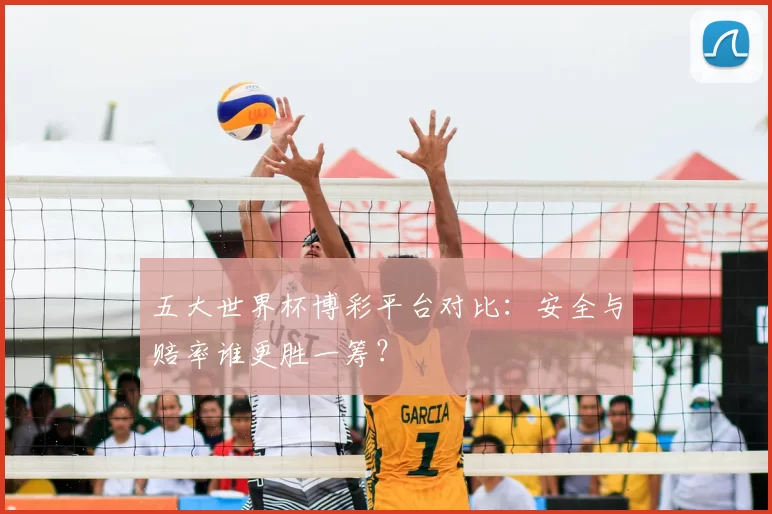 五大世界杯博彩平台对比:安全与赔率谁更胜一筹?