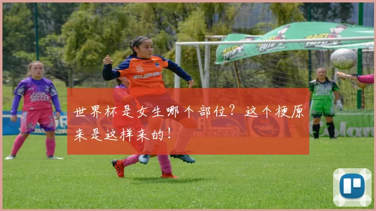世界杯是女生哪个部位？这个梗原来是这样来的！