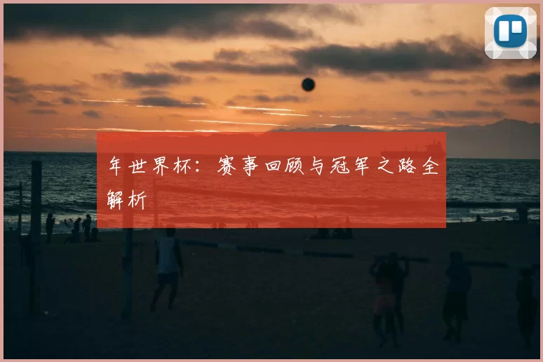 年世界杯:赛事回顾与冠军之路全解析