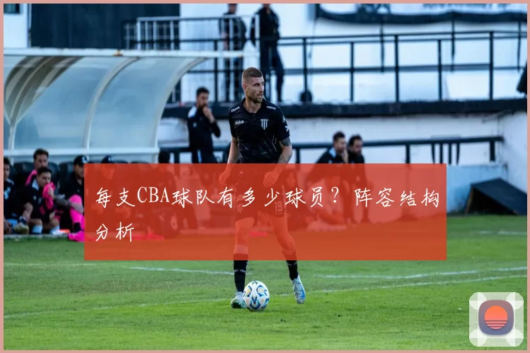 每支CBA球队有多少球员?阵容结构分析
