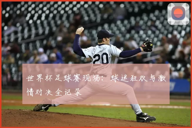 世界杯足球赛现场:球迷狂欢与激情对决全记录