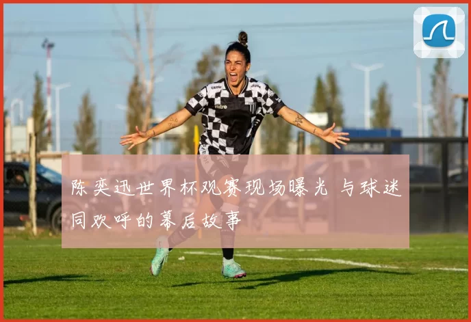 陈奕迅世界杯观赛现场曝光 与球迷同欢呼的幕后故事