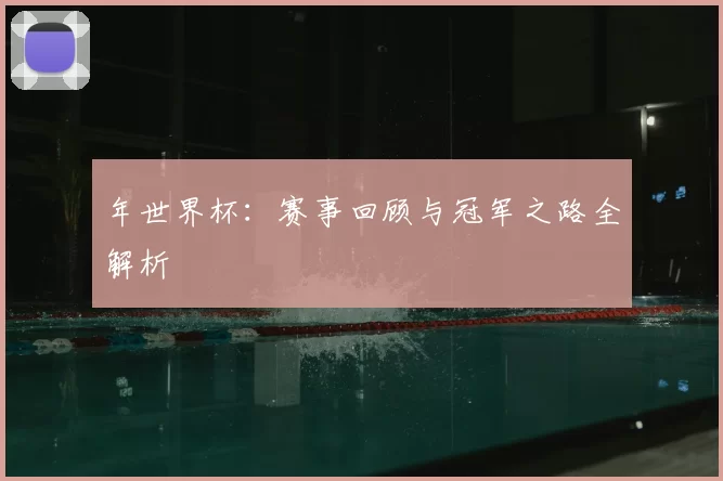 年世界杯:赛事回顾与冠军之路全解析
