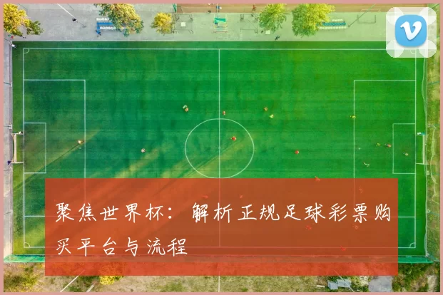 聚焦世界杯：解析正规足球彩票购买平台与流程