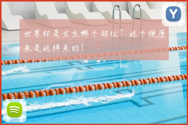 世界杯是女生哪个部位？这个梗原来是这样来的！