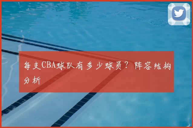 每支CBA球队有多少球员?阵容结构分析