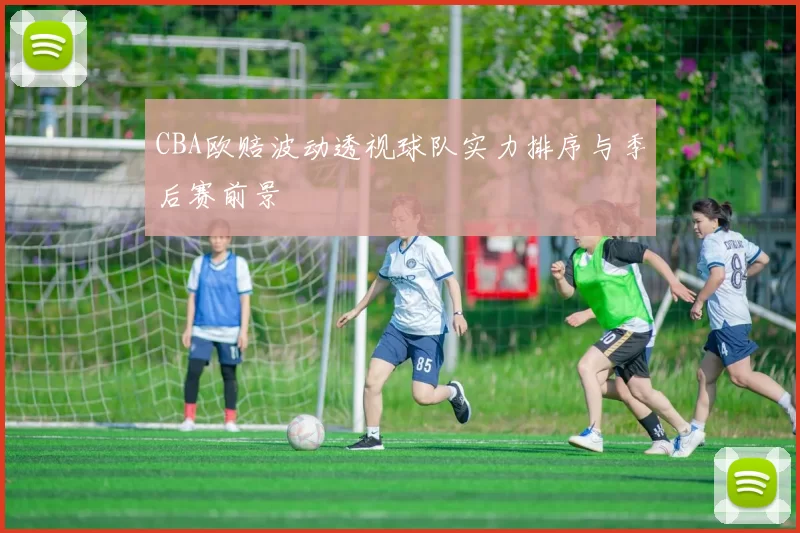 CBA欧赔波动透视球队实力排序与季后赛前景