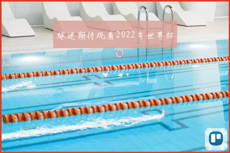 球迷期待观看2022年世界杯
