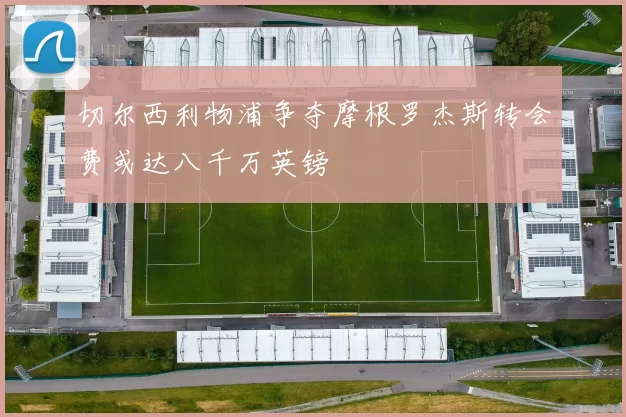 切尔西利物浦争夺摩根罗杰斯转会费或达八千万英镑